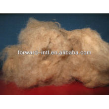 white camel wool fiber